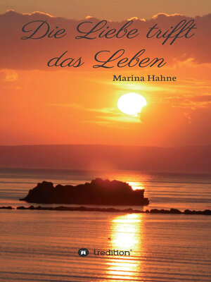cover image of Die Liebe trifft das Leben